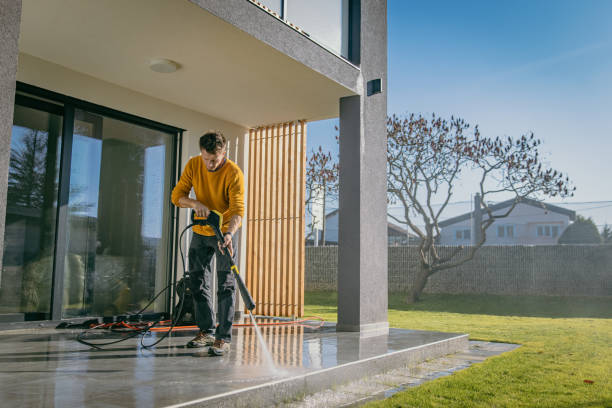 Best Building Exterior Washing  in Port Neches, TX